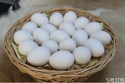 乌鸡蛋不适合什么人吃(乌鸡蛋不适合什么人吃怎样吃) 乌鸡蛋不适合什么人吃(乌鸡蛋不适合什么人吃怎样吃)
