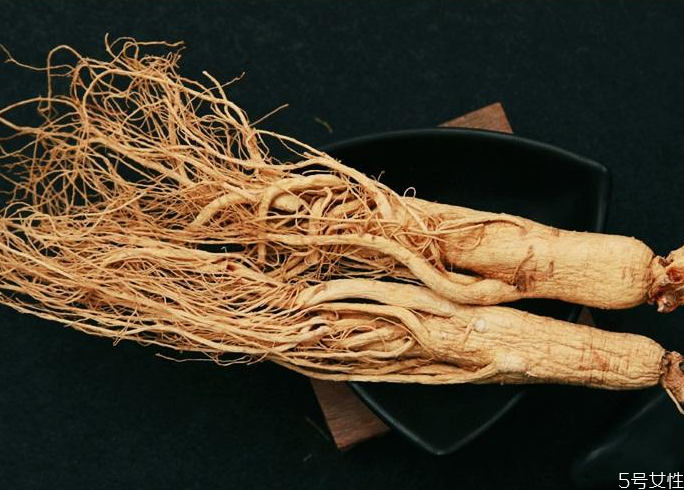 鲜人参生吃效果好吗(鲜人参生吃效果好吗) 鲜人参生吃效果好吗(鲜人参生吃效果好吗)