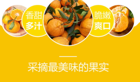 不知火的优势(不知火的优势) 不知火的优势(不知火的优势)