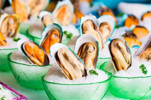 青口贝的营养价值(青口贝的营养价值及功效)