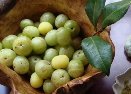 余甘果的生长习性(余甘果什么时候成熟) 余甘果的生长习性(余甘果什么时候成熟)