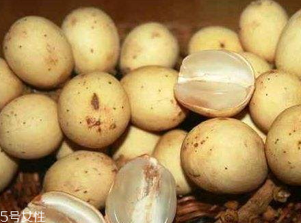 杜古的形态特征(杜英的形态特征)