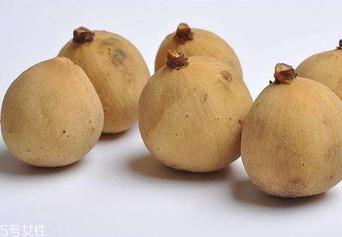 龙贡果的特点(龙贡果的功效和作用)