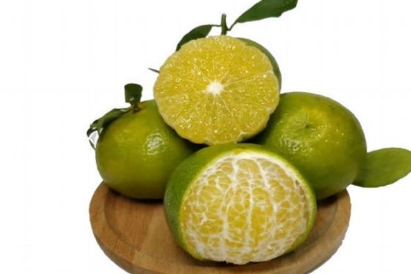 皇帝柑和橙子哪个维C高(皇帝柑和橙子哪个维C高)