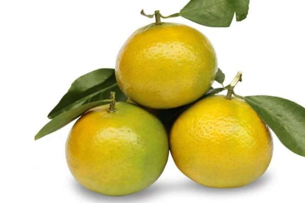 为什么买的皇帝柑不甜还酸(为什么买的皇帝柑不甜还酸)