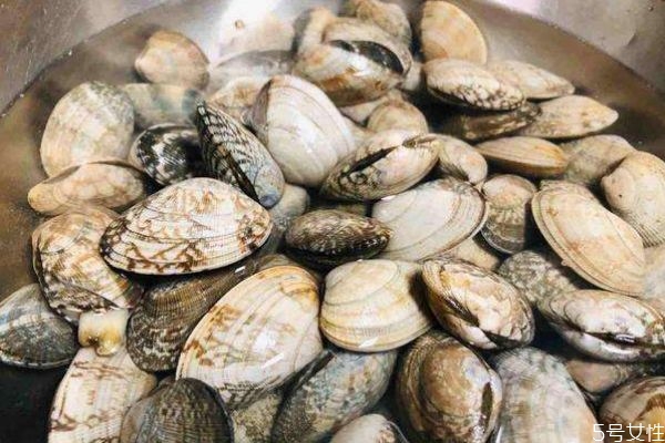 花甲怎么清洗干净(花甲怎么清洗干净)