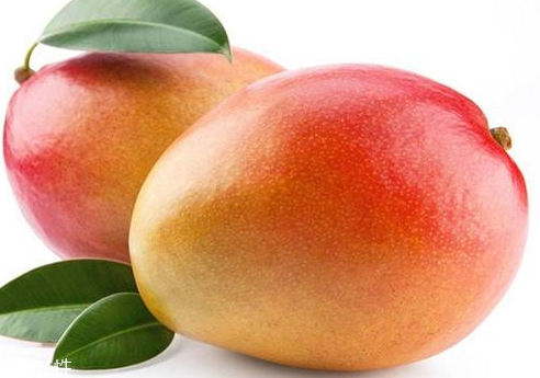 贵妃芒口感(贵妃芒果口感) 贵妃芒口感(贵妃芒果口感)