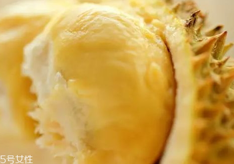 苏丹王和猫山王哪个好(苏丹王和猫山王哪个好吃)