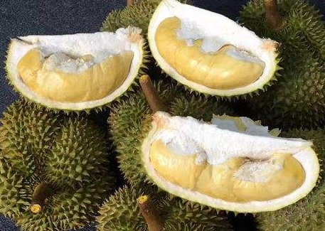 关东煮需要一直煮吗(关东煮需要一直煮吗)