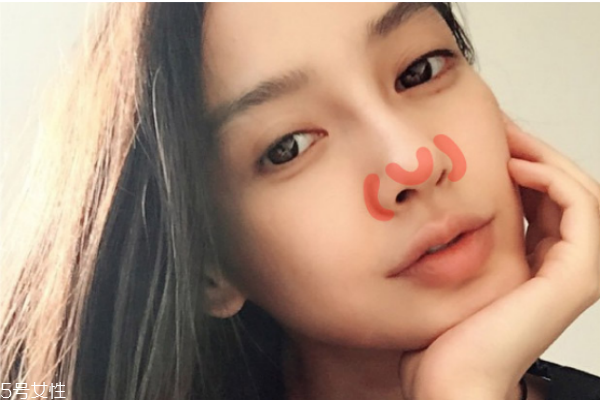 眼影可以当鼻影用吗(鼻影刷可以用什么代替)