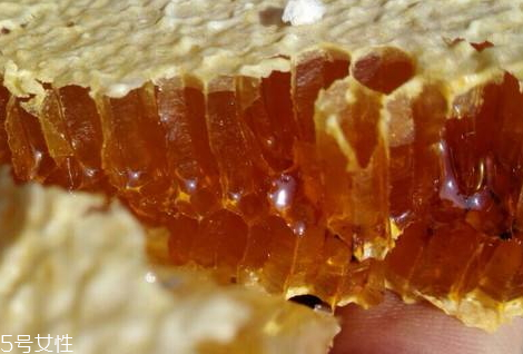 土蜂蜜的味道(土蜂蜜的味道是什么样的)