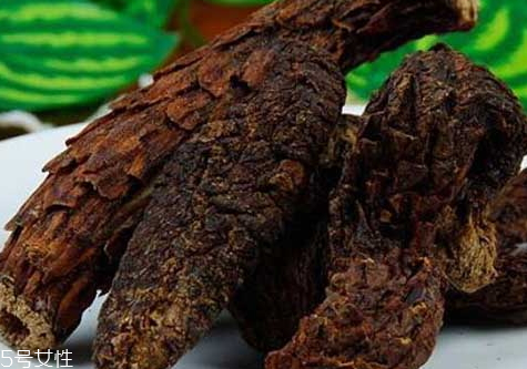 肉苁蓉什么人不能吃(肉苁蓉什么人不能吃)