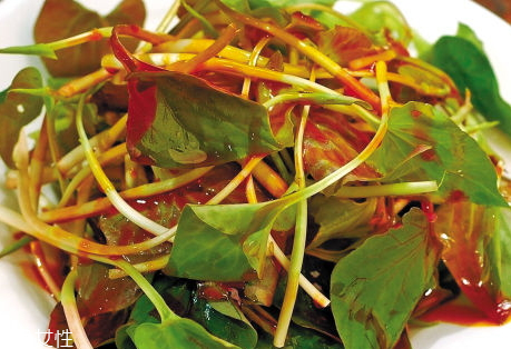 鱼腥草怎么吃(鱼腥草怎么吃 鱼腥草的做法大全)