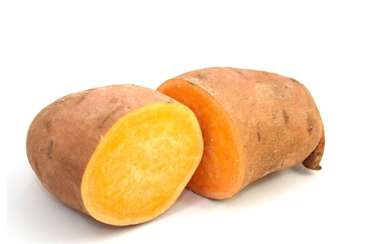 红薯可以煮着吃吗(发芽的红薯可以煮着吃吗)