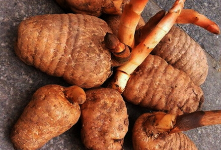 泡发薏米用热水还是冷水(薏米热水泡还是冷水泡)