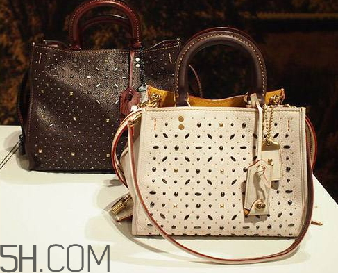 Coach改名Tapestry有影响吗(coach挂牌)