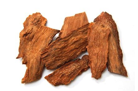 锁阳的食用方法(锁阳的食用方法和用量)