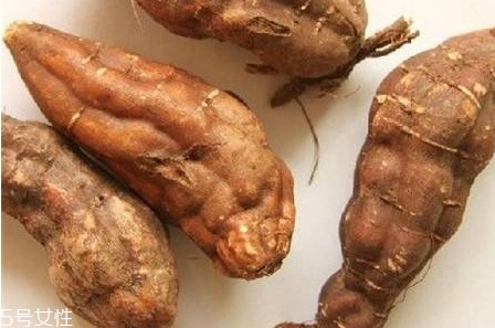 何首乌鉴别要点(何首乌鉴别要点) 何首乌鉴别要点(何首乌鉴别要点)