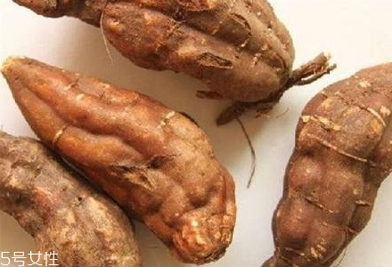 何首乌的种植区域(何首乌的种植条件)