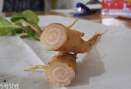 商陆根可以泡酒吗(商陆根可以泡酒吗) 商陆根可以泡酒吗(商陆根可以泡酒吗)