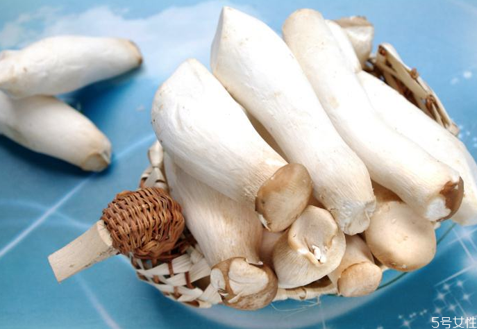 杏鲍菇有毒性吗(杏鲍菇有没有毒性)