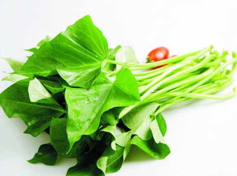 红薯叶生的可以吃吗(红薯叶生的可以吃吗?)