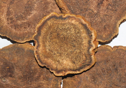 大黄治便秘配方(九制大黄丸治疗便秘)