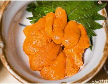 海胆蒸蛋的做法推荐(海胆蒸蛋家常做法)