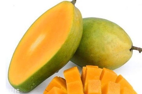 青芒为什么放冰箱几天还不熟(青芒放了20天还没熟)