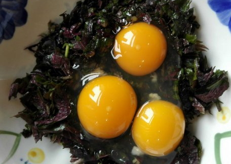 孕妇吃紫苏的好处(孕妇能吃紫苏吗?) 孕妇吃紫苏的好处(孕妇能吃紫苏吗?)