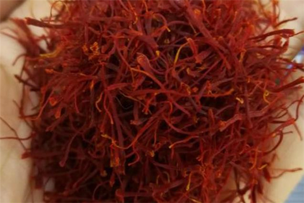 西红花的功效(西红花的功效和作用的功能和主治)