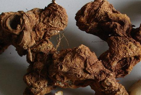 治疗风寒感冒的药(治疗风寒感冒的药有哪些) 治疗风寒感冒的药(治疗风寒感冒的药有哪些)