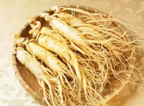 人参可以泡水喝吗(人参泡开水喝的功效和作用)