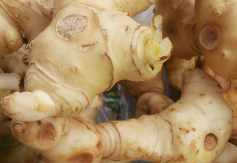 酸奶可以放在常温下吗(酸奶可以放在常温下吗?)