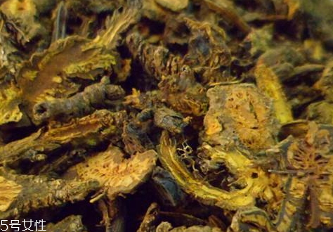 黄连怎么治痘痘(黄连可以治痘痘吗)