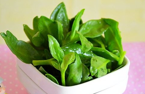 穿心莲的特性(穿心莲的特性) 穿心莲的特性(穿心莲的特性)