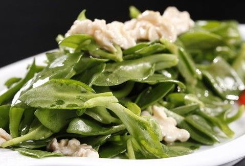 田七长期吃会怎么样(田七能长期吃吗)