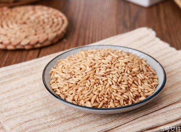 燕麦米的功效和作用(燕麦米的功效和作用及营养价值)