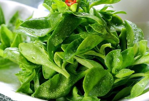 手抓饼可以夹哪些配菜(手抓饼放哪些配菜) 手抓饼可以夹哪些配菜(手抓饼放哪些配菜)