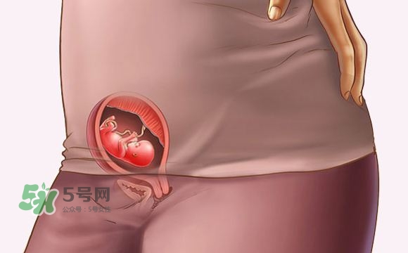 怀孕初期尿频什么时候消失(怀孕初期尿频什么时候消失)