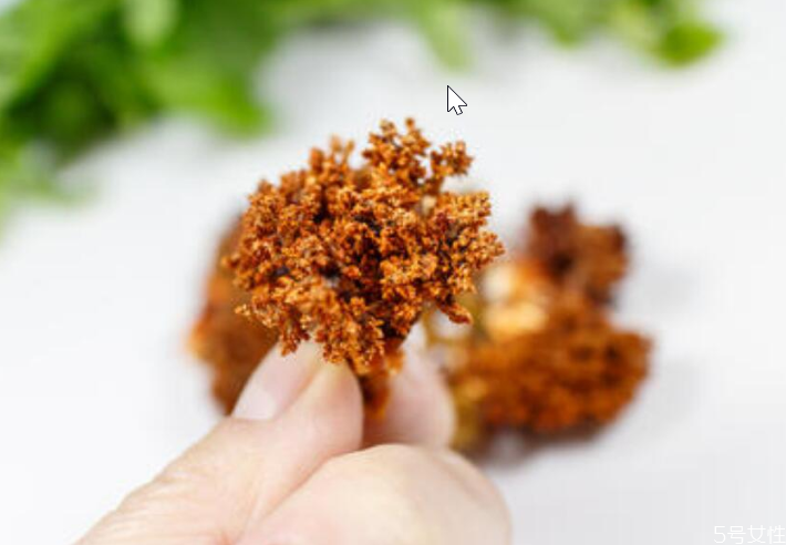 海参花的食用方法(海参花的营养价值和食用方法)