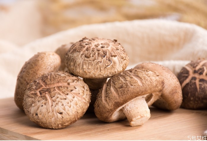 干花菇怎么泡发(干花菇怎么泡发泡多久)