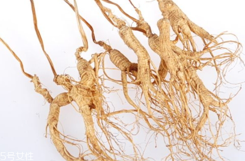 野山参泡酒方法(野山参泡酒方法)