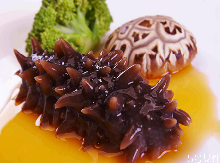 海参怎么分辨野生和养殖(海参怎么分辨野生和养殖图片) 海参怎么分辨野生和养殖(海参怎么分辨野生和养殖图片)