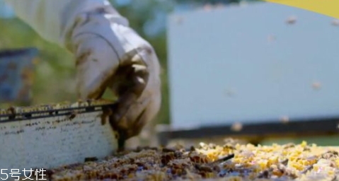 足够醇的蜂蜜没有保质期(蜂蜜有无保质期)