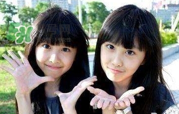 什么是减胎(什么是减胎术)