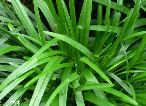 种植注意事项(种植术后的注意事项) 种植注意事项(种植术后的注意事项)