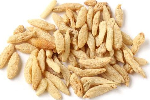 麦冬副作用(麦冬副作用大吗?)