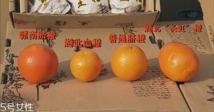 脐橙的挑选技巧(脐橙的挑选方法) 脐橙的挑选技巧(脐橙的挑选方法)