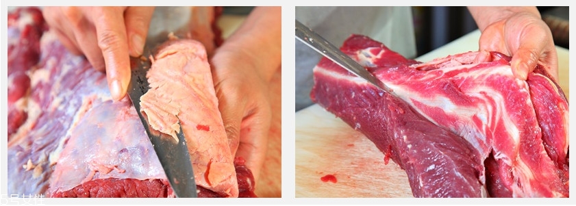 半筋半肉怎么挑选和处理(半筋半肉是什么位置)